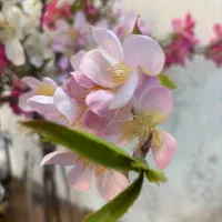 گلدان کریستال خارجی با گل های خارجی|گل مصنوعی|تهران, تهرانسر مرکزی|دیوار
