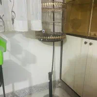 عروس هلندی لوتینو در و ماده سخنگو   فوری زیر قیمت|پرنده|اصفهان, بیدآباد|دیوار