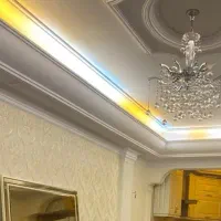 هم خانه خانم