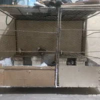 قفس بزرگ