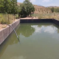 زمین باغ بادوم ب همراه چشمه و استخر|فروش دفتر صنعتی، کشاورزی، تجاری|عجب شیر, |دیوار