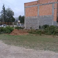 فروش زمین مسکونی در دودانگه،فریم شهر،محمد آباد|فروش زمین و ملک کلنگی|فریم, |دیوار