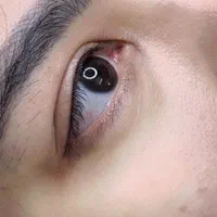 شیدینگ لب ،میکروبلیدینگ ابرو،بن مژه ،آرایش دائم|خدمات آرایشگری و زیبایی|مشهد, شهید آوینی|دیوار