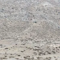 زمین مسکونی|فروش زمین و ملک کلنگی|لردگان, |دیوار