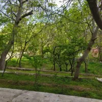 ملکیت-سند-دار
