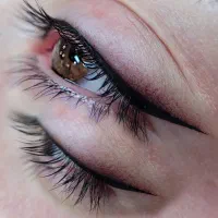 خدمات آرایش دائم، فیبروز، شیدینگ، خط چشم،ریموو تتو|خدمات آرایشگری و زیبایی|شیروان (خراسان), |دیوار
