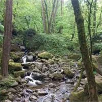 زمین کشاورزی