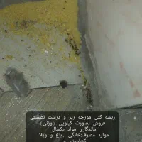 فروشگاه سموم حشرات خانگی