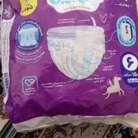 مایبیبی شورتی