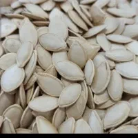 تخم کدو ۶۰۰ کیلو