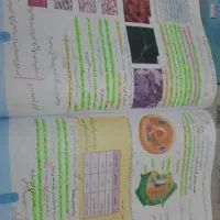 کتابهای درسی هفتم|کتاب و مجله آموزشی|مشهد, رضاشهر|دیوار