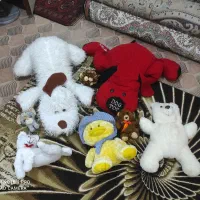 عروسک همه باهم ۸۰۰