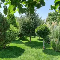 ویلا-خاص-در-یکی-از-بهترین-کوچه-باغهای-زیبادشت