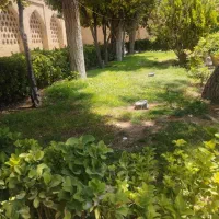 گاراژ ،سراوان