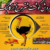 کهره بره گوسفندبزه گاوگوساله بلدرچین|حیوانات مزرعه|یاسوج, |دیوار