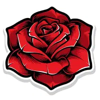 گلاب محلی 100 % طبیعی