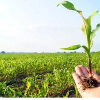 فروش کود ارگانیک ثبت‌شده، ویژه کشاورزی