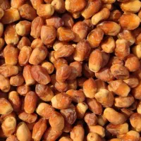 خرمای زاهدی