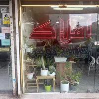 تجاری-در-بهترین-لوکیشن-الهیه