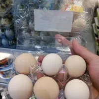 تخم بلدرچین مرغ رسمی|خوردنی و آشامیدنی|قم, سراجه (۱۵ خرداد)|دیوار