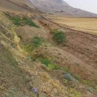 زمین کشاورزی دو هکتاری با چشمه دائمی باباریز|فروش زمین و ملک کلنگی|سنندج, |دیوار