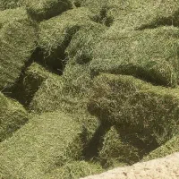 کاه ایخوم کلاچو