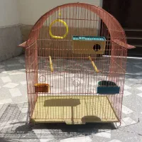 قفس پرنده