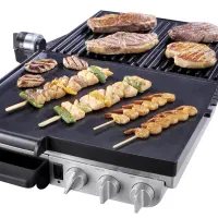 گریل گاستروبک GASTROBACK GRILL BARBECUE|اجاق گاز و لوازم برقی پخت‌وپز|تهران, توحید|دیوار