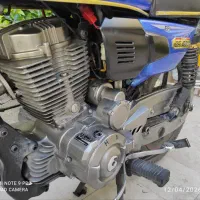 پیشرو ۲۰۰ وحشی