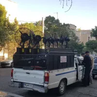 اجاره کولرگازیبخاری قارچی پنکه مهپاش ظروف کرایه|خدمات پذیرایی، مراسم|تهران, مهران (سیدخندان)|دیوار