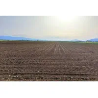 فرو-ش-مزر-عه-کشاورزی-50-هکتار-آزادراه-ساوه-تهران
