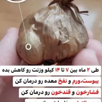 طلای سیاه|آرایشی، بهداشتی، درمانی|مینودشت, |دیوار
