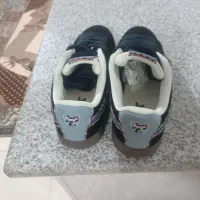 کفش اورجینال پوما سوئد|کیف، کفش، کمربند|یاسوج, |دیوار