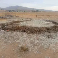 فروش ویژه کود مرغ