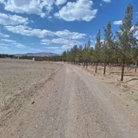 فروش زمین مناسب باغ ویلا و کارگاه|فروش دفتر صنعتی، کشاورزی، تجاری|بیرجند, |دیوار