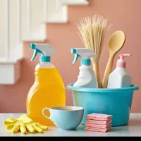 آشپزی و نظافت منزل خانم 15 روز در ماه نیمه وقت
