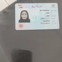 یک کیف کولی حاوی کارت خودرو گواهینامه ،کارت ماشین