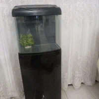 اکواریوم بک سامپ دلسا برای آب شور و شیرین