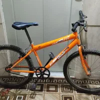 دو تا دوچرخه سالم