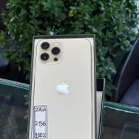 اپل iPhone 12 Pro Max با حافظهٔ ۲۵۶ گیگابایت|موبایل|یزد, |دیوار