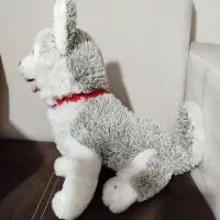 عروسک|اسباب‌‌بازی|شیراز, فضل‌آباد|دیوار