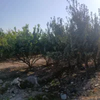 چهاردیواری-400-متری-شهریار-دهشاد-تهران