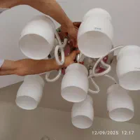 ۳ مدل  لوستر  با شاخه های مختلف