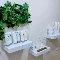 شلف باکس دیواری دستگاه پوست دایون پلاس فیشال