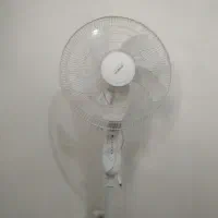 پنکه در حدنو