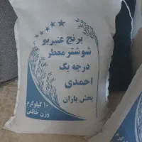 برنج عنبربو شوشتر