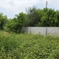 سوخته کوه ۲۵۰ متر سوخته کوه مسکونی ویودار