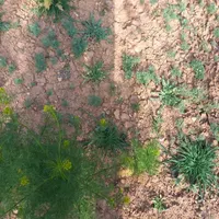 اجاره آپارتمان ۵۰ متری ۲ خوابه زیر همکف در نارمک|اجارهٔ آپارتمان|تهران, نارمک|دیوار