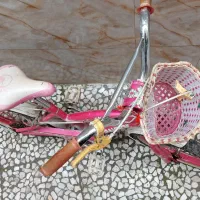 دوچرخه دخترانه سایز ۲۰|دوچرخه، اسکیت، اسکوتر|رشت, معلم|دیوار