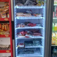 فریزر ایستاده فیالستون